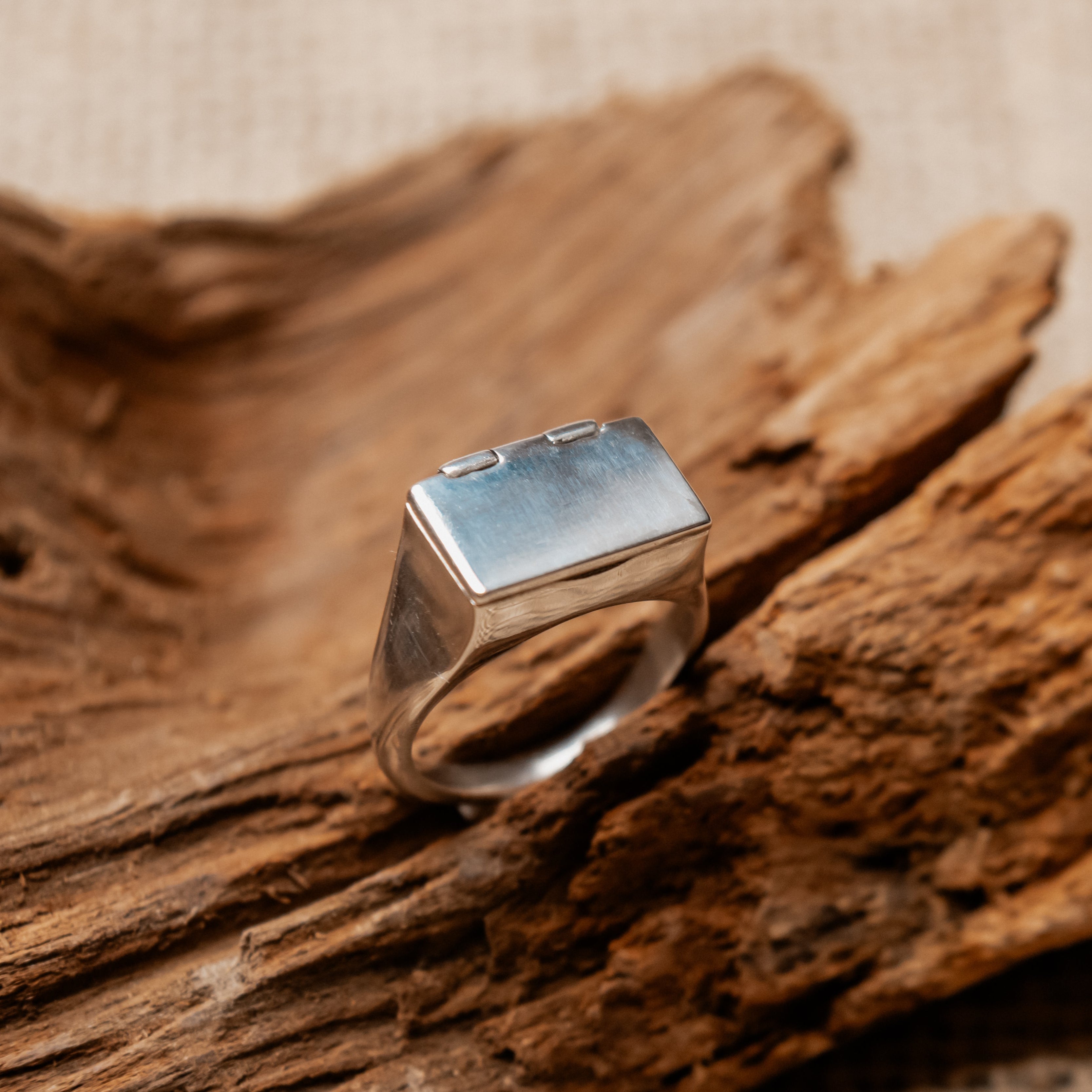 Bague Elysia Brute Argent