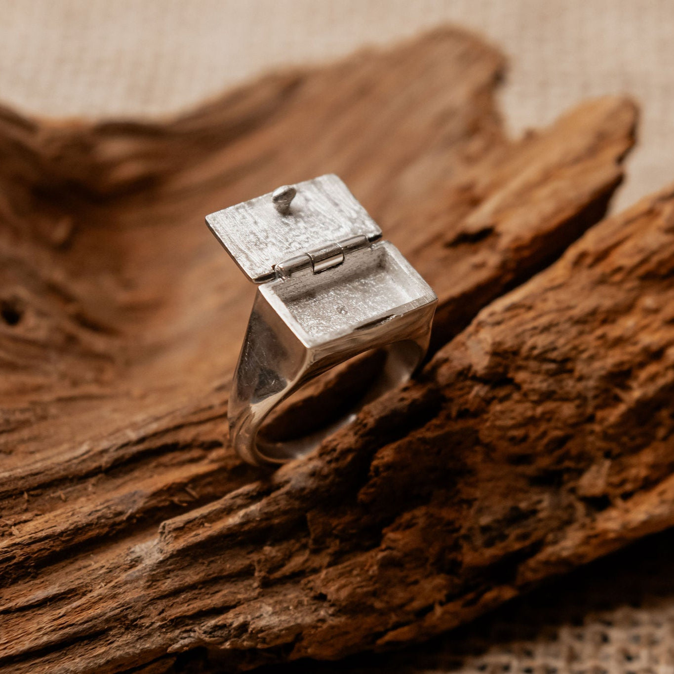 Bague Elysia Brute Argent